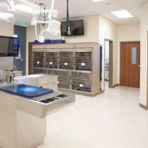 Covid-19 Resistant Epoxy Floor Coating